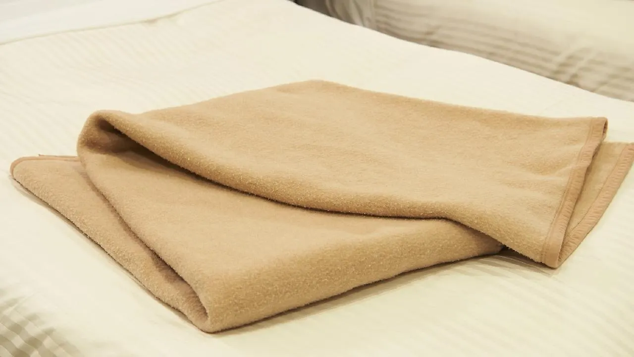 טוקיו Sotetsu Fresa Inn Daimon מלון